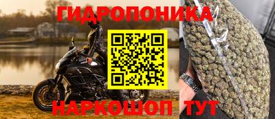 каннабис Сланцы