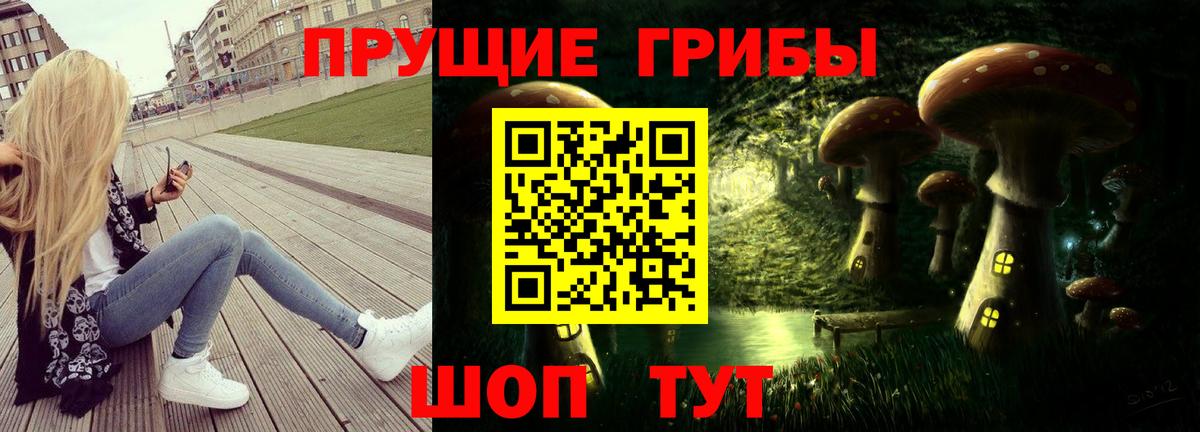Псилоцибиновые грибы Psilocybe Лесозаводск